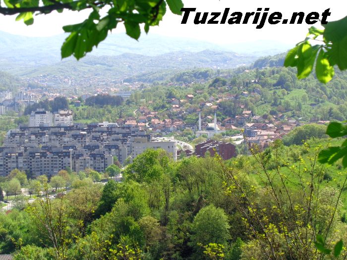 Tuzlarije