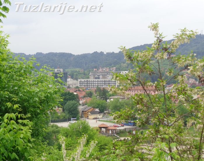 Tuzlarije