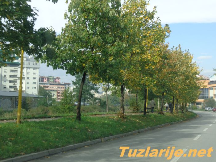 Tuzlarije