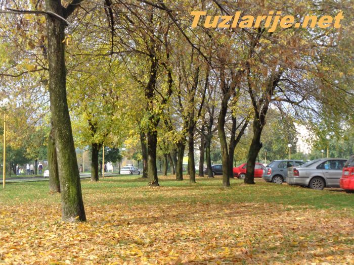 Tuzlarije