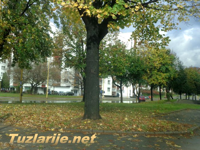 Tuzlarije