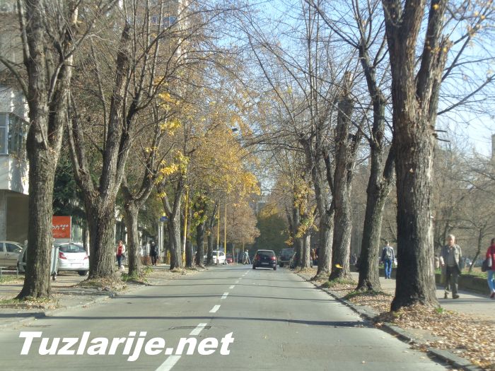 Tuzlarije - Aleja A.I.