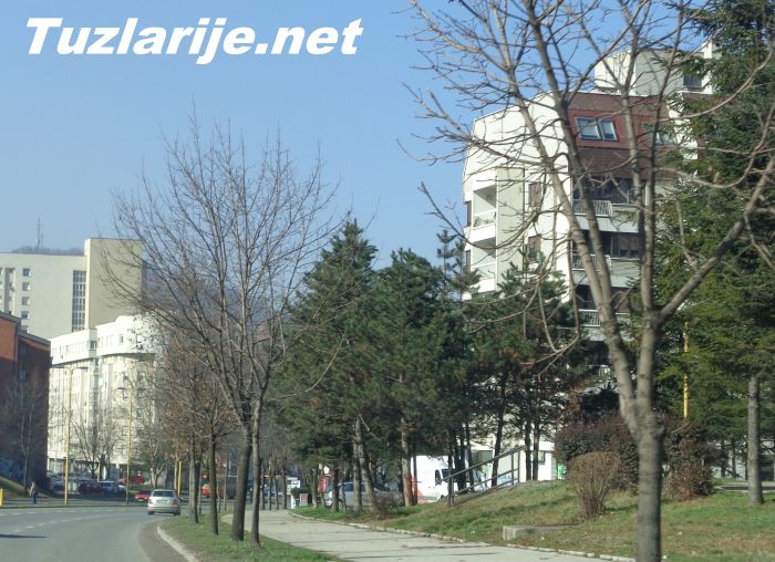 Tuzlarije