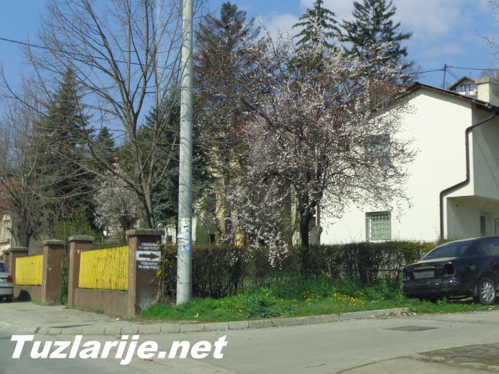 Tuzlarije