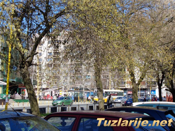 Tuzlarije
