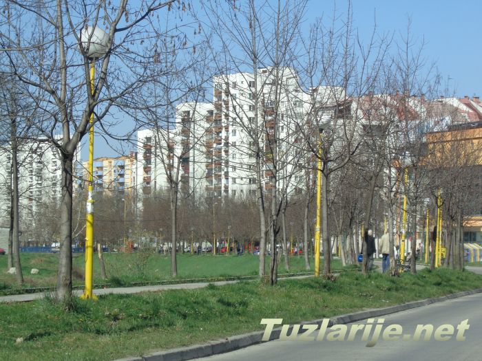 Tuzlarije