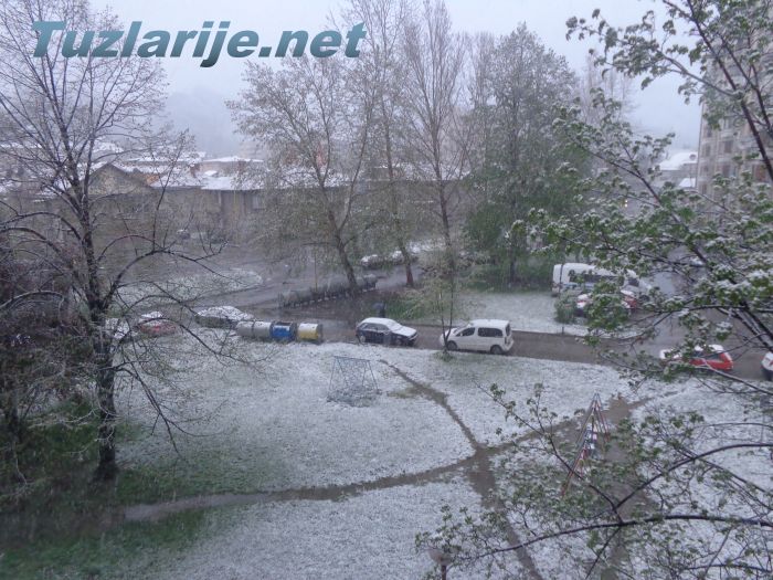 Tuzlarije