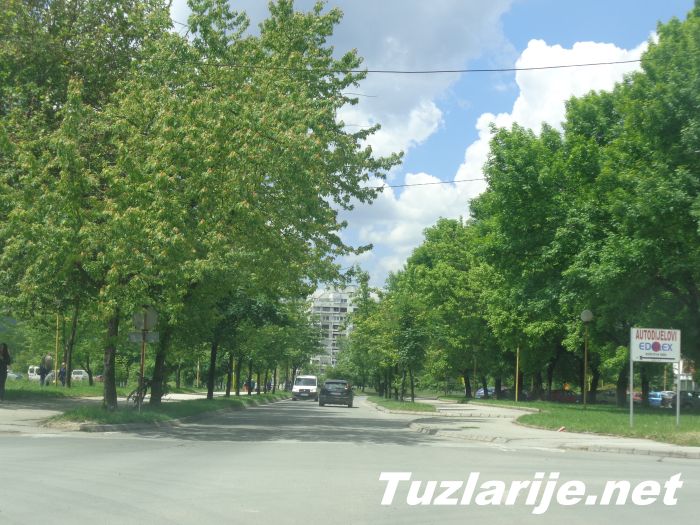 Tuzlarije