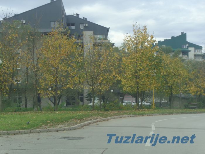 Tuzlarije