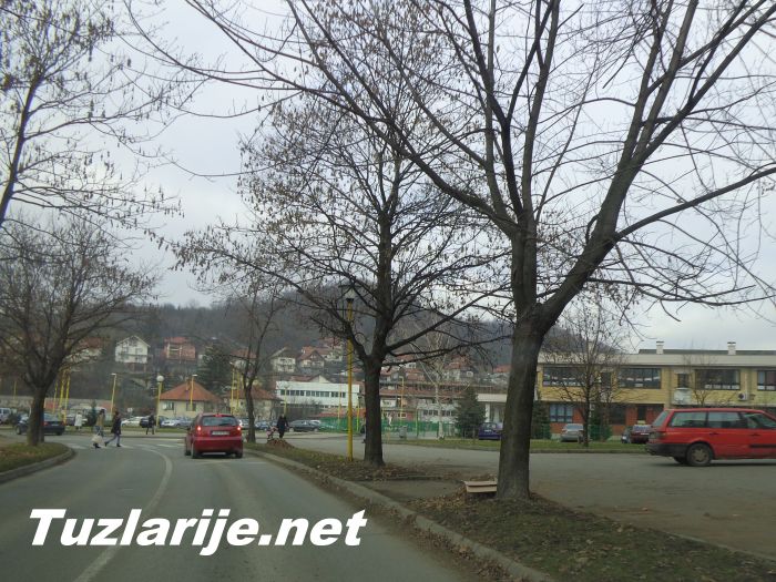 Tuzlarije