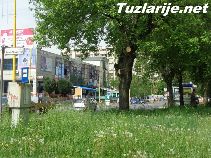 Tuzlarije