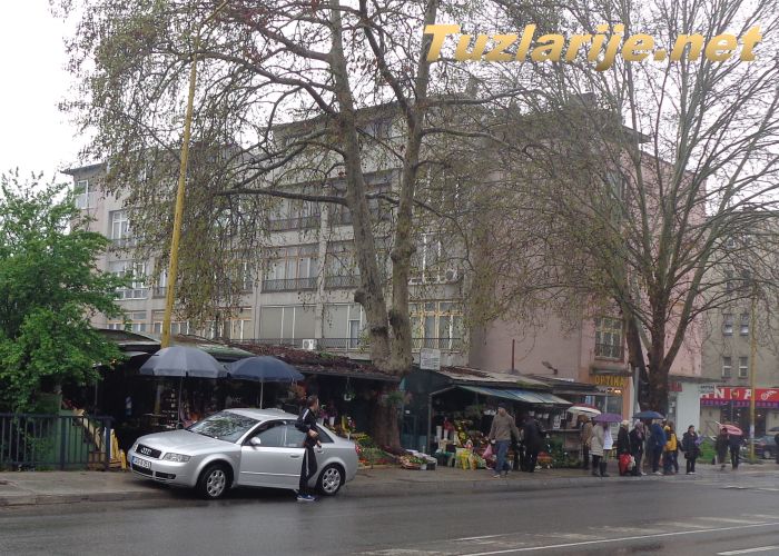 Tuzlarije