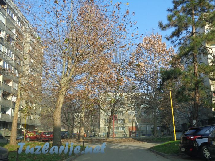 Tuzlarije