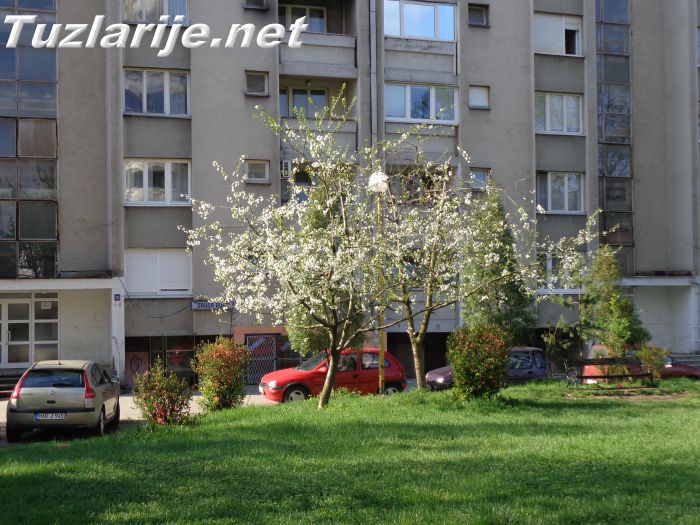 Tuzlarije