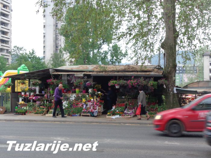 Tuzlarije