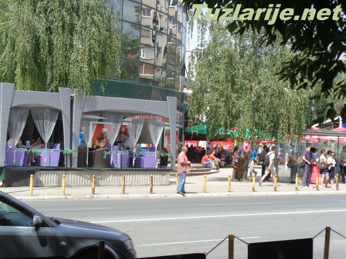 Tuzlarije