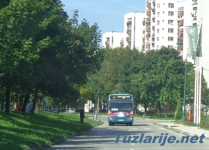 Tuzlarije