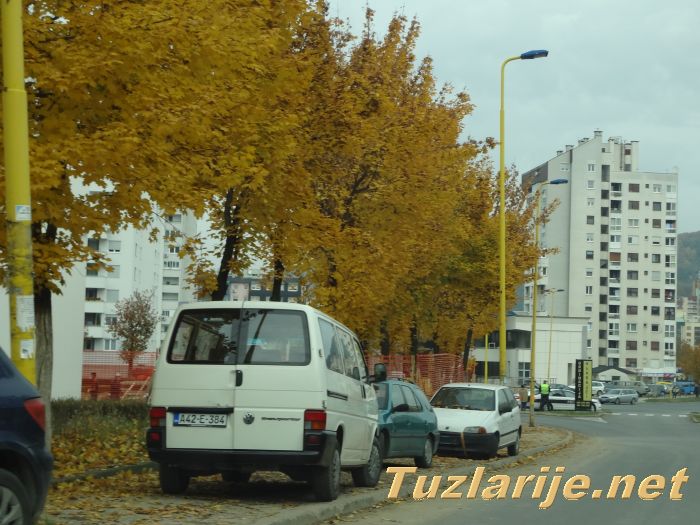 Tuzlarije