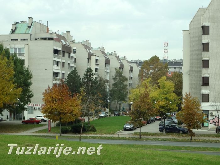 Tuzlarije