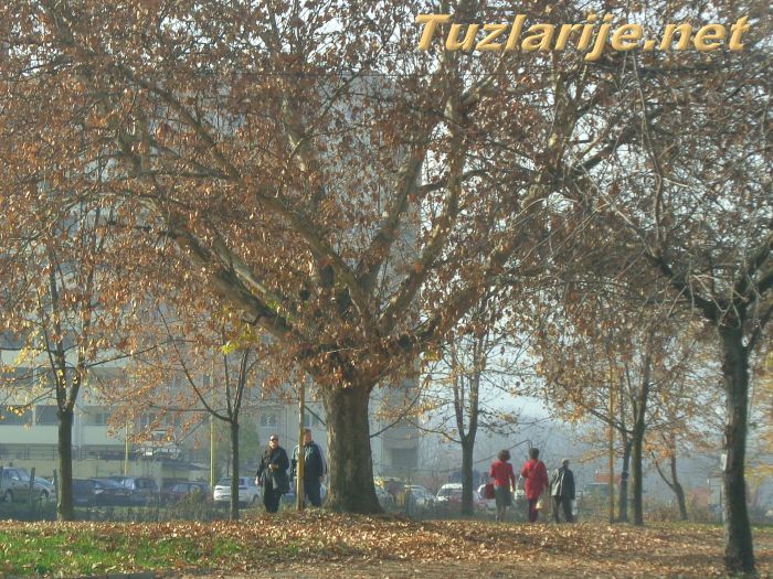 Tuzlarije
