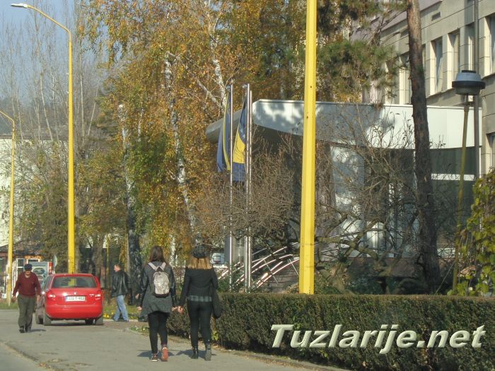 Tuzlarije