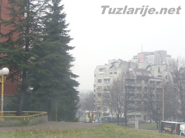 Tuzlarije