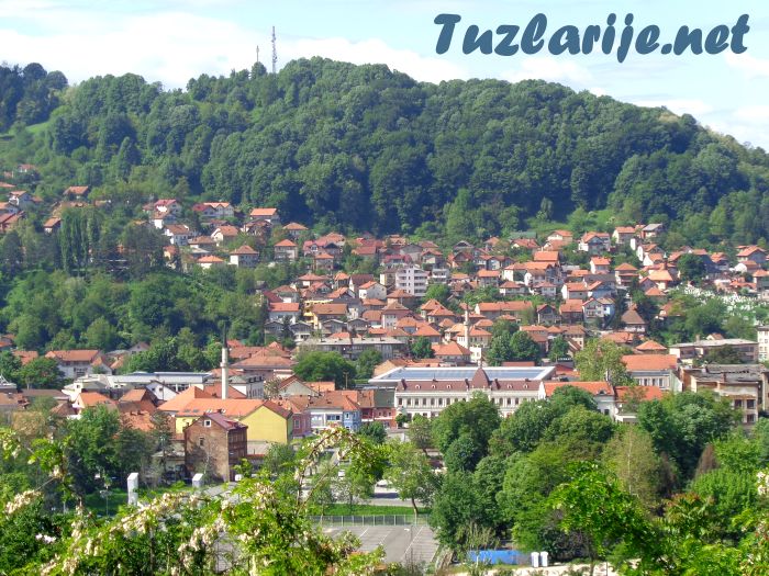 Tuzlarije
