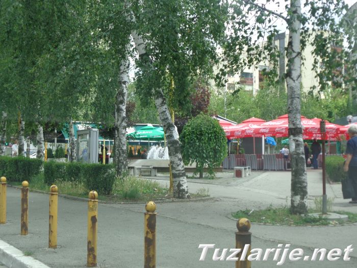 Tuzlarije