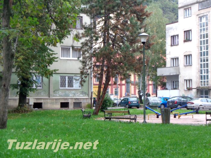 Tuzlarije