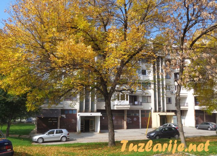 Tuzlarije