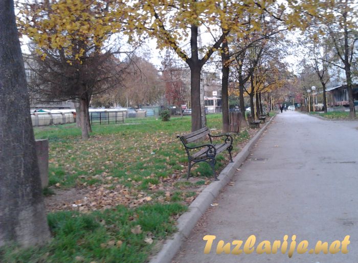 Tuzlarije