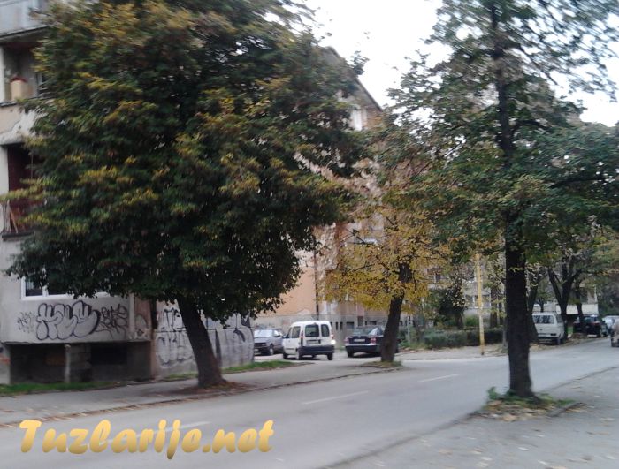 Tuzlarije