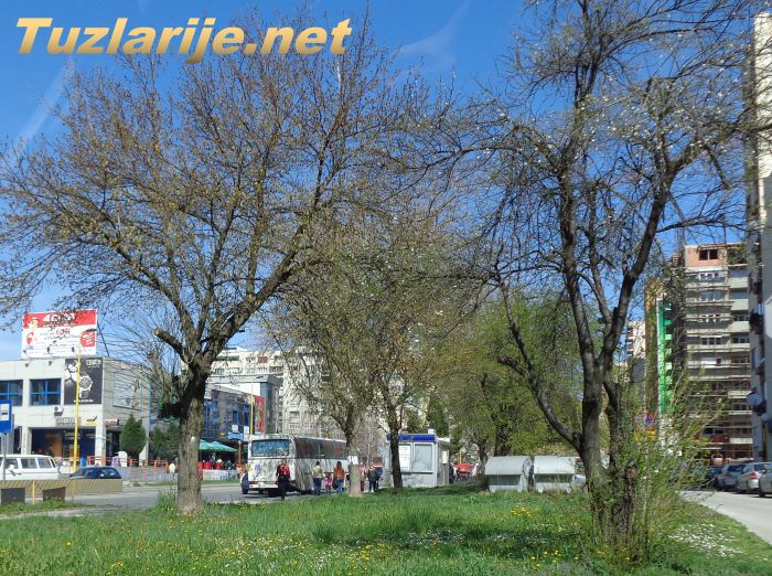 Tuzlarije
