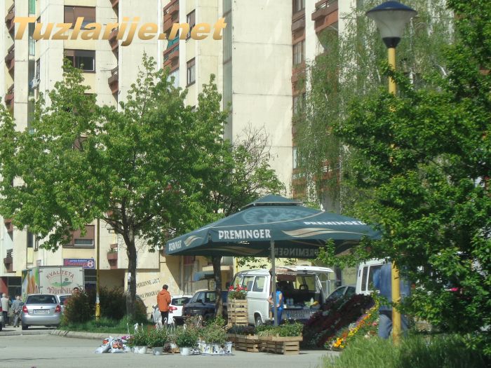 Tuzlarije
