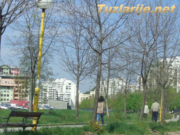 Tuzlarije
