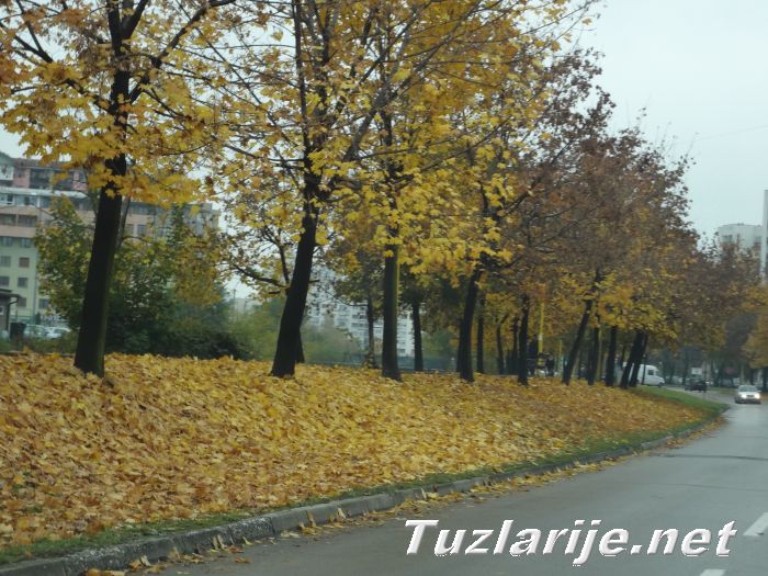 Tuzlarije