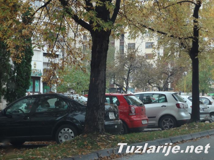 Tuzlarije