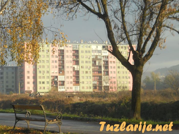 Tuzlarije