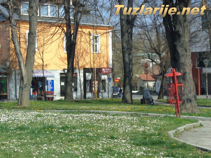 Tuzlarije