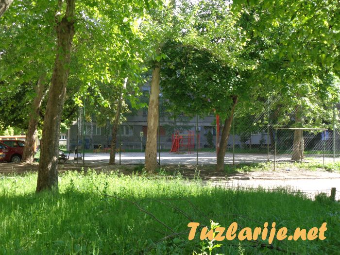 Tuzlarije