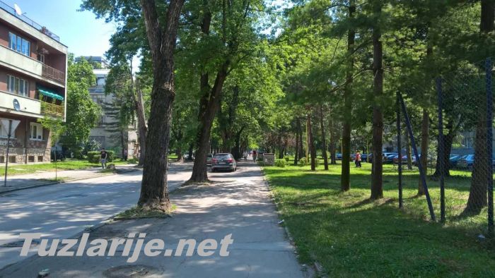 Tuzlarije