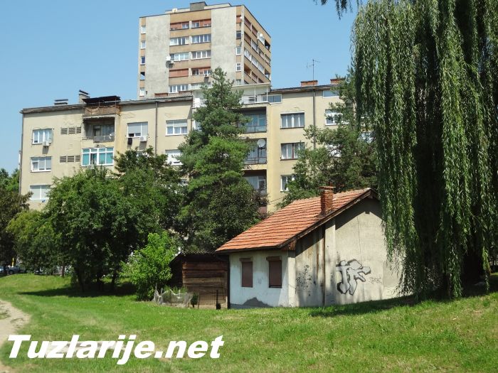 Tuzlarije