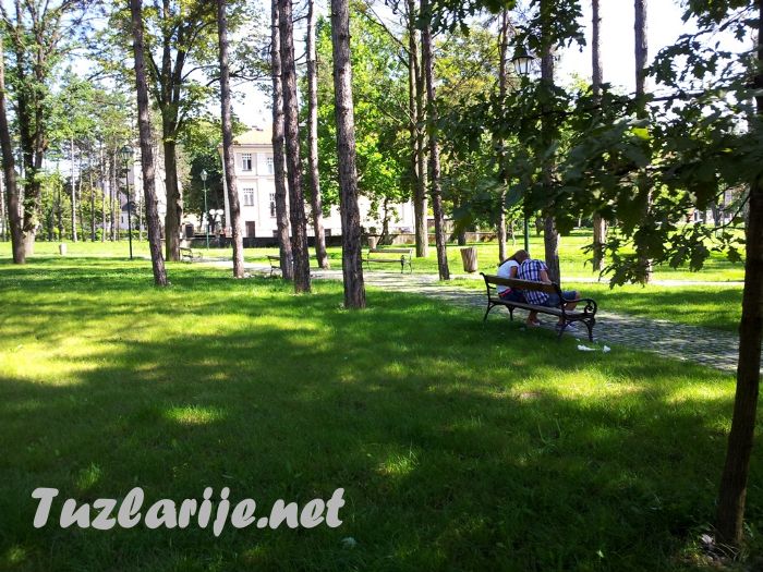 Tuzlarije
