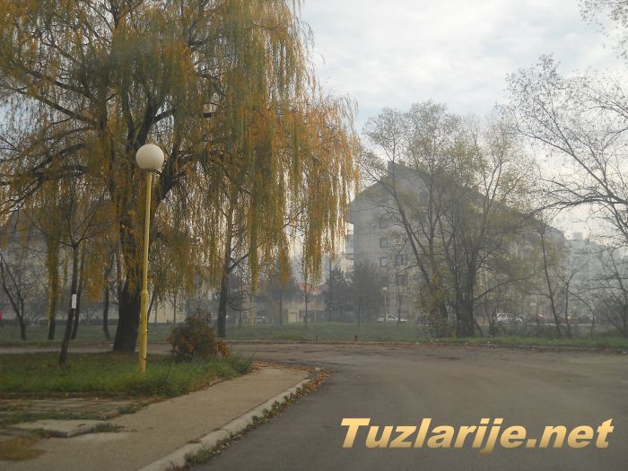 Tuzlarije