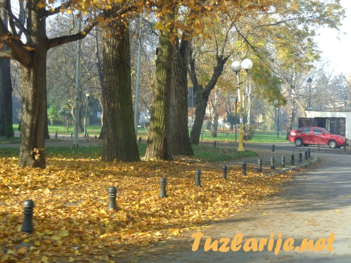 Tuzlarije