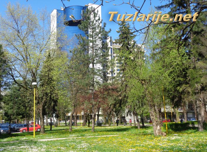 Tuzlarije