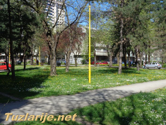 Tuzlarije