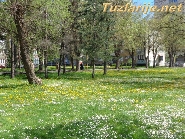 Tuzlarije