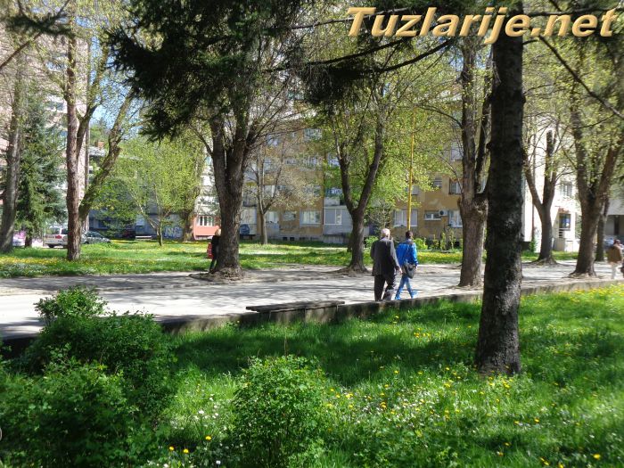 Tuzlarije