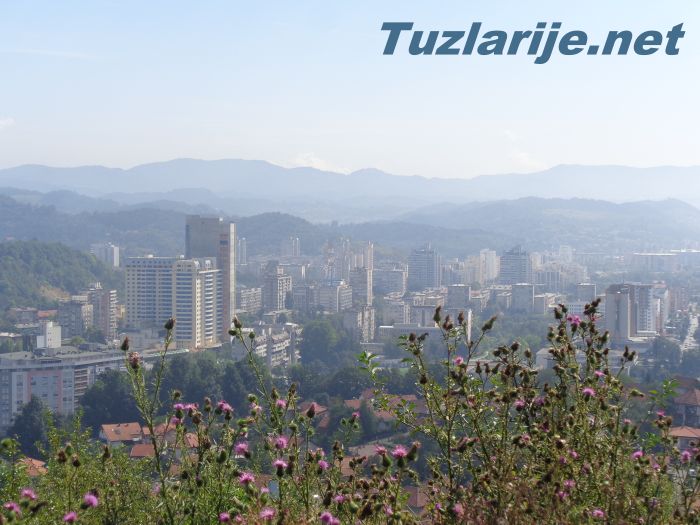 Tuzlarije